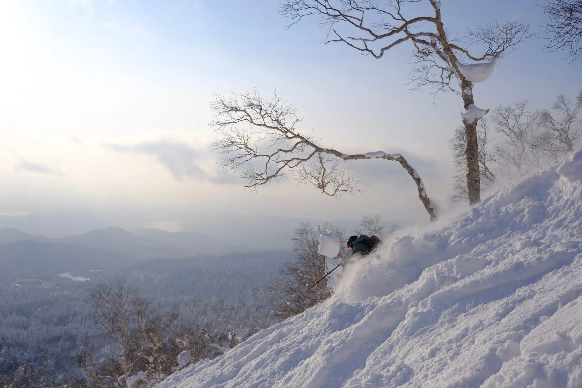 A skier spraying deep powder on a turn beneath a bare tree, a misty valley and distant ridgelines softly backlit behind.