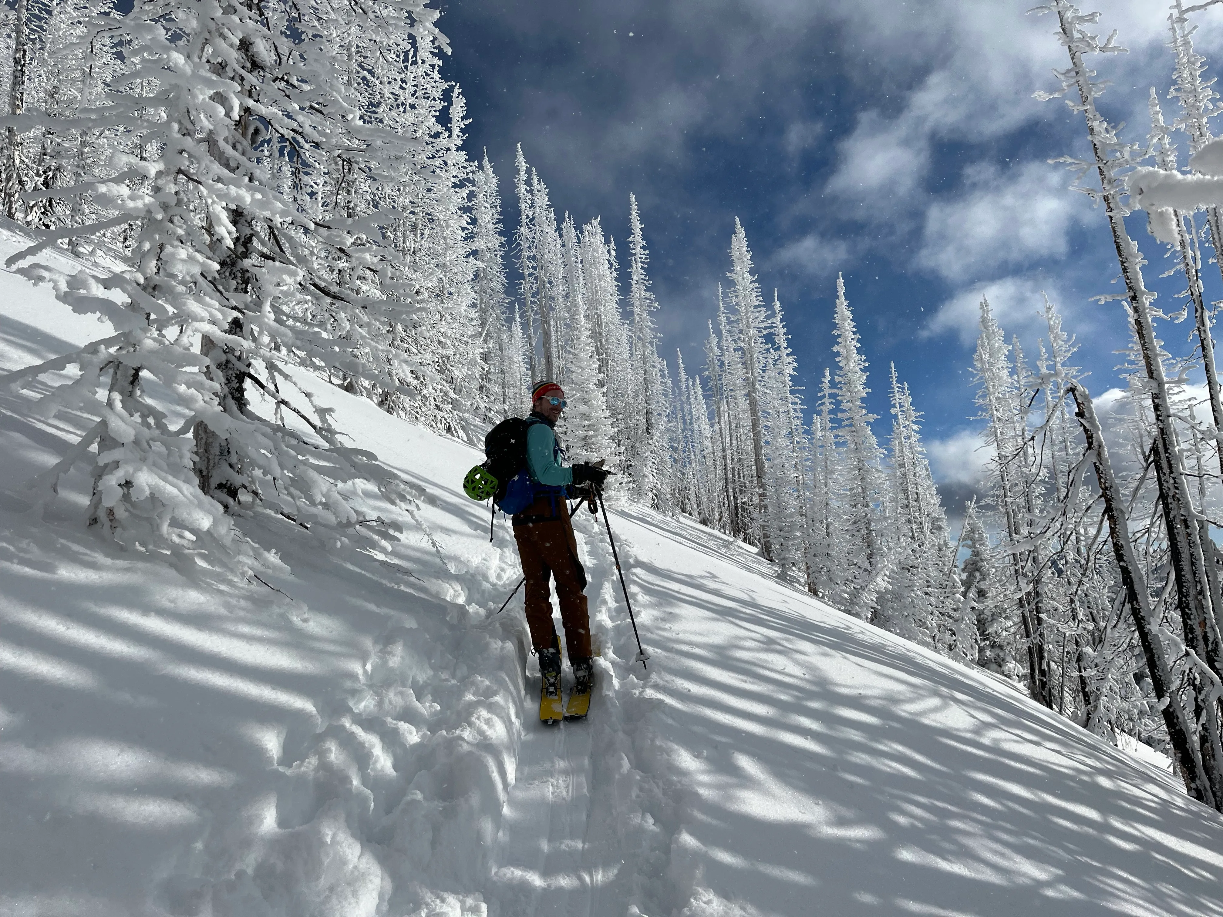 A skier dropping into a powder slope through rime-frosted snow-ghost trees in the Pacific Northwest backcountry under a blue sky.